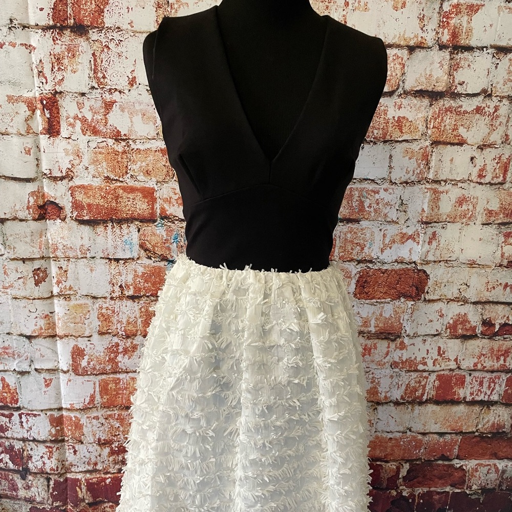 French Connection Dress